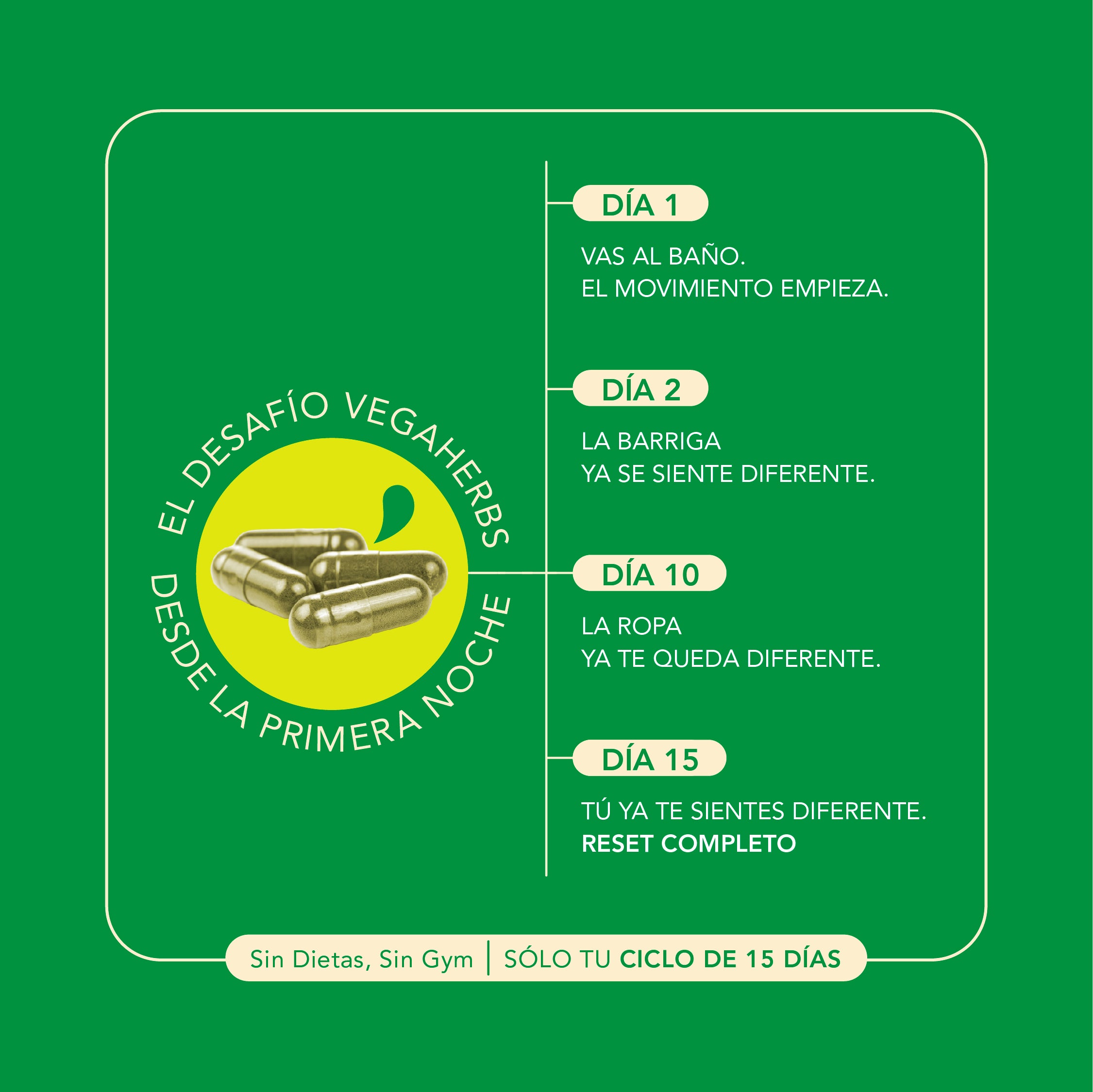 VegaHerbs 15 Days Cleanse