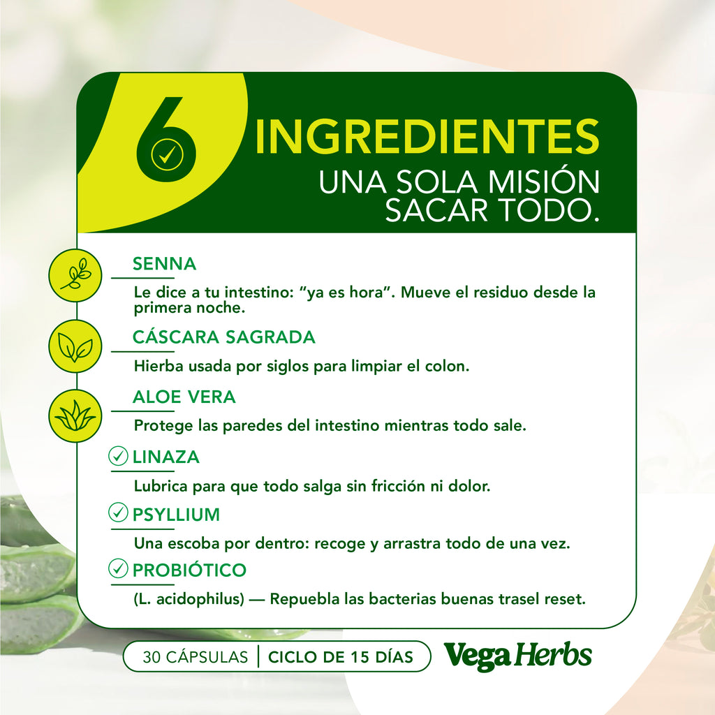 VegaHerbs 15 Days Cleanse