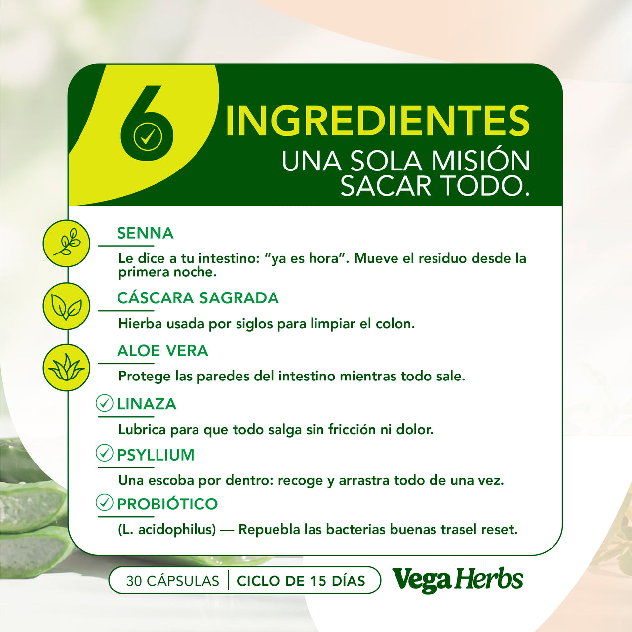 VegaHerbs 15 Days Cleanse